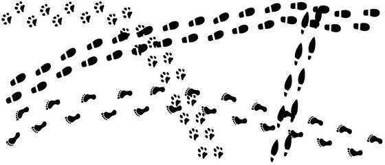 Traces on a white background. Footprints. Human feet
