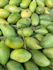 Green mango texture background, tropical fruit from Asia