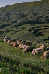 Caucasus mountains, Dagestan, Russia