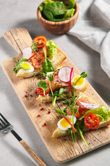 Smoked Salmon Bruschetta with Pita Bread, Quail Egg and Vegetables. Canape fish food appetizer on grey table with wooden board. Healthy, gourmet, appetizers food concept.