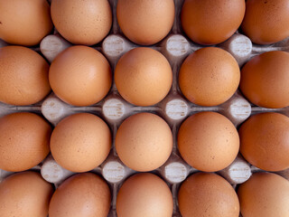 Brown eggs in cardboard egg box. Top view of raw organic chicken eggs in carton.