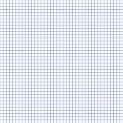 Grid paper. Abstract squared background with color graph. Geometric pattern for school, wallpaper, textures, notebook. Lined blank on transparent background