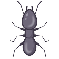 
Eusocial insect, flat cartoon icon of wild ant 

