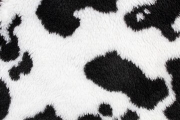 Close-up white cow skin with black spots