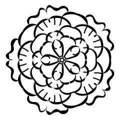 
A beautiful design icon of decorative flowers.

