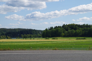 landscape in countryside