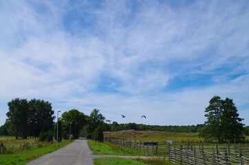 road in the countryside