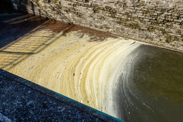 pollution sur les bord d'un canal	