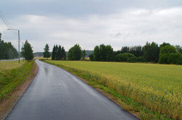 Fototapeta na wymiar walkway in the countryside in the rain