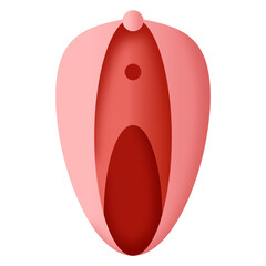 
Female sex organ icon in flat design, vagibne vector 

