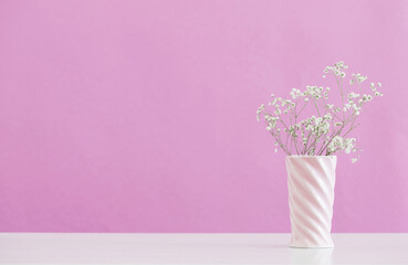 gypsophila flowers in vase on pink background