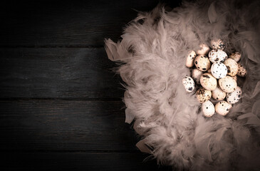 Quail eggs. Black wooden background. Top view. Free space.