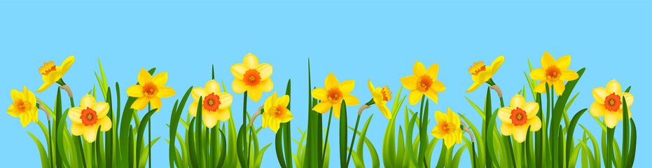 Bloom flowers blue background banner