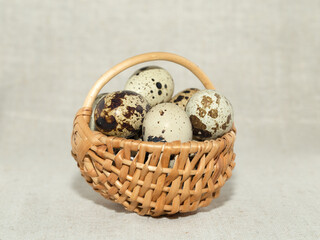 Fresh quail eggs for a healthy diet