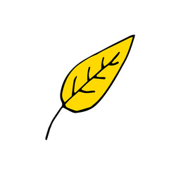 Autumn leaf of yellow color. Vector hand-drawn doodle illustration.
