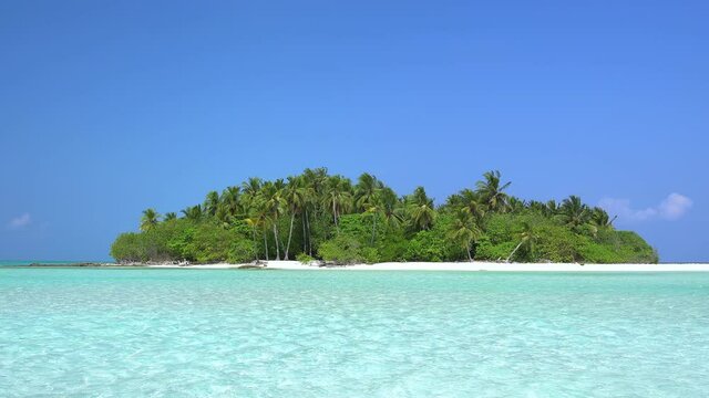 Whole tropical island with palm trees in wild ocean. Travel destinations. Paradise