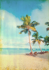 Coconut tree on the sky background - retro styled picture