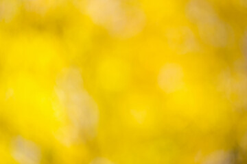 blurred abstract autumn background