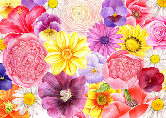 watercolor drawing wild flowers