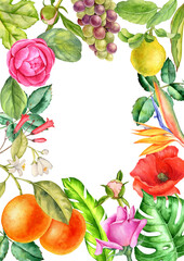 background with fruit and berries