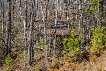 Abandoned cabin in the woods