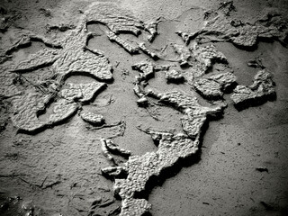 A puddle with abstract natural mud patterns. 