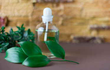 A bottle with pheromones oil on a beige background with a plant.