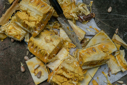 Breaking open a jackfruit