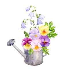 watercolor drawing flowers