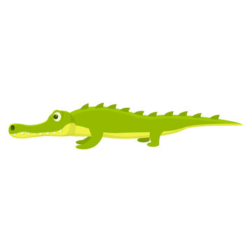 Zoo crocodile icon. Cartoon of Zoo crocodile vector icon for web design isolated on white background