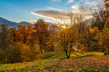 Fototapeta premium autumn landscape with trees