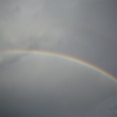 rainbow over the sea