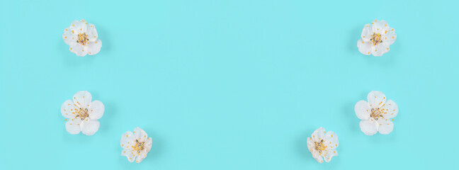 Banner fresh spring flowers on blue paper background