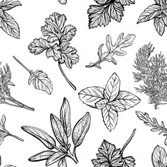 Wild grass seamless pattern. Field herbs and garden medical plants, useful seasonings. Hand-drawn vector illustration