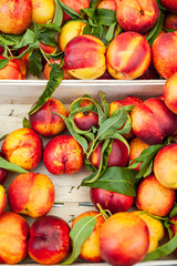 fresh ripe peaches in a box