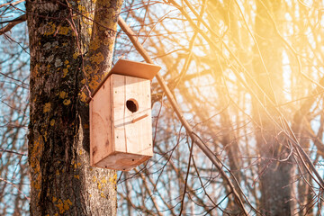 Small wooden box for starlings