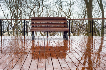 Empty bench rain park nobody