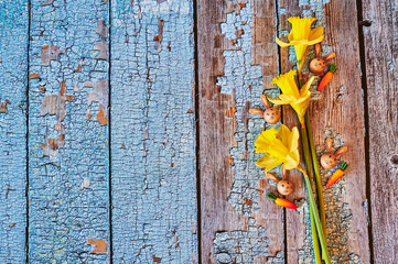 Three yellow jonquils with traditional Easter decoration.