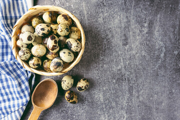Quail eggs in basket and wooden spoon on grey concrete background