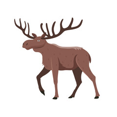 Moose with large branched horns. Vector illustration of animals in cartoon flat style.