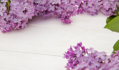 Closeup branches of blooming lilac designed as frame on white wooden background. Space for product or text on foreground. Purple flowers wallpaper. Artistic focus