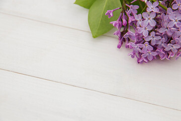 Closeup branch of blooming lilac on white rustic wooden surface. Space for product or text on foreground. Purple flowers wallpaper