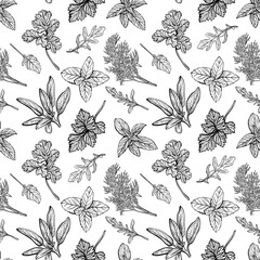 Fototapeta premium Italian herbs seamless pattern. Provencal condiments and herbs pattern. Mediterranean cuisine. Hand-drawn vector illustration