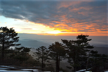 Fototapeta premium The sun blooms on the horizon, It is the invitation to a new beautiful day.