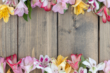 background from multi-colored flowers on wooden table. multicolored alstroemeria, pink, yellow, magenta, white and red alstroemerias.