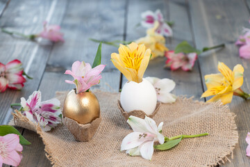 alstroemeria flower in an egg on a wooden background with flowers. Happy Easter concept.