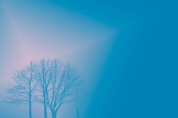 Abstract blue background with gradient and tree. Wallpapers for the website, banner.