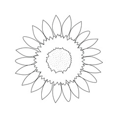 Sunflower flower on a white background without color with a black outline. Coloring book. Vector graphics.