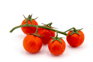sicilian red tomatoes isolated on white background
