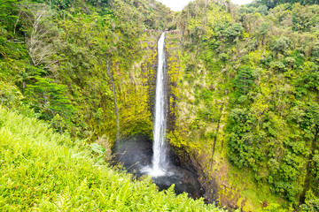 Akaka Falls near Hilo, on the Big Island of Hawaii in a tropical rain forest